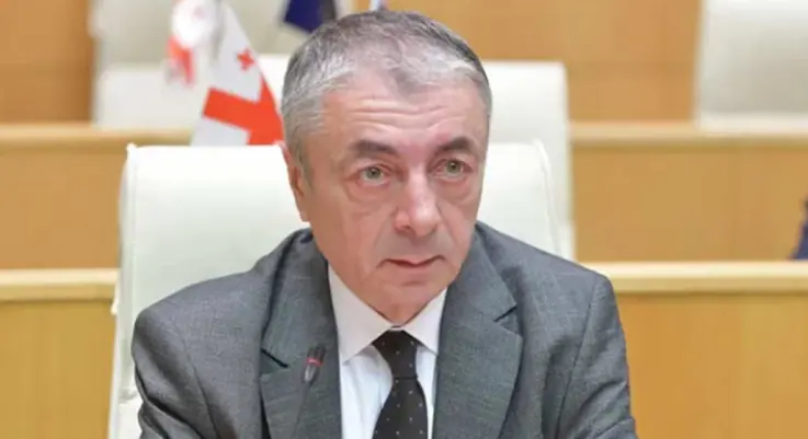 თქვი, ვეთანხმებით 2024 წლის არჩევნების დასკვნას, სადაც არჩევნები კონკურენტუნარიანად არის ნაღიარები